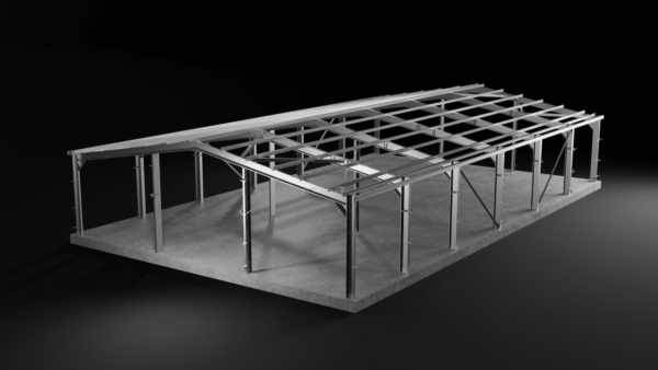 Full 3D Steel Framed Building Frame under construction showing off the parts that make up a steel building including columns, rafters, braces, purlins.